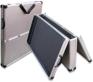 Case for transporting painting