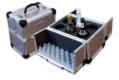 Wine pilots case